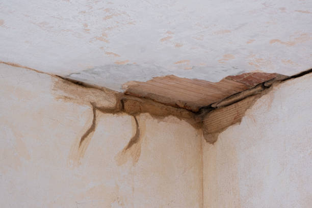 Best Sewage cleanup and water damage restoration  in Waterloo, IL