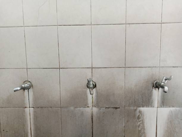 Best Flooded house restoration  in Waterloo, IL