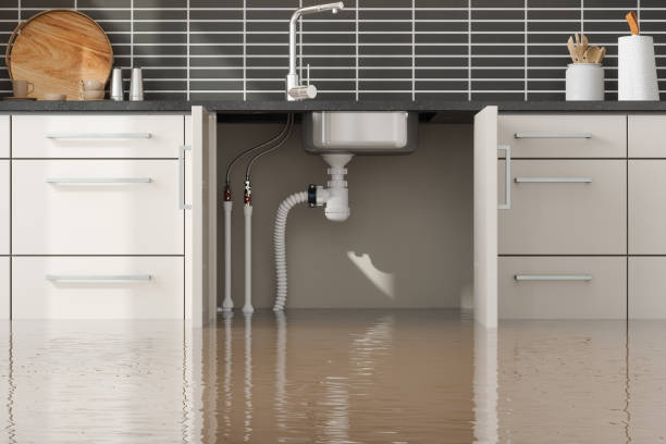 Best Ceiling water damage repair  in Waterloo, IL