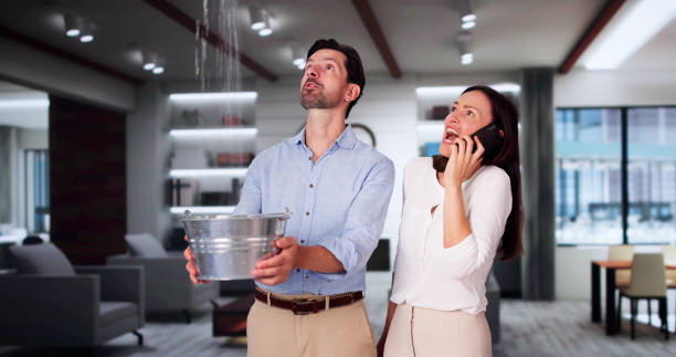 Best Water damage cleanup near me  in Waterloo, IL