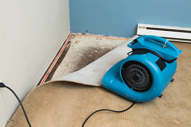 Best Fire Damage Restoration  in Waterloo, IL